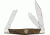 Buck Knives Boone and Crockett Blade BU301IWSBCLE
