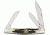 Buck Knives Boone and Crockett Blade BU301STSBCLE