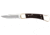 Buck Knives Folding Hunter Knife, Box, 0110BRS9210
