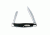 Buck Knives Lancer Box - 0305BKS2588