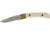 Buck Knives WBC Squire Drop Point Knife 0501IVSLE