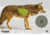 SME Coyote Target, SME-TRG-COYOTE