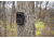 Bushnell 14MP HD AGGRESSOR WIRELESS, TAN NO GLOW, BOX 119599C2