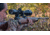 Bushnell 4-16x50 Elite 4500 Rifle Scope, 30 mm, Second Focal Plane, Multi-X, 50 MOA, Black, REL4165BS3