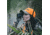 EDEMO Bushnell Engage 6x24mm Laser Rangefinder, 1700 Yd, Advanced Target Detection, Black, Box 5L, LE1700SBL, EDEMO1