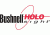 Bushnell HOLOsight