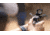 Bushnell RXM-300 1x28mm Reflex Red Dot Sights, 4 MOA Red Dot Reticle, Black, RXM300