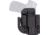 C&amp;G Holsters Alpha IWB Holsters, Ruger MAX-9, Right Hand, Black, 2258-100