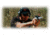 C-MORE SlideRide Red Dot Sight w/Standard Switch, Black, 12 MOA SRB-12