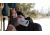 Caldwell Ballistic Precision Long Range Target Camera System 156726