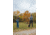Caldwell Claymore Pullpup Clay Target Thrower, Gray/Yellow, 4002774