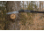 Hooyman 10 Foot Extendable Tree Saw, 655227