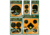 Caldwell Target Countertop Display Refill Pack, Targets Only, Orange Peel 451700 