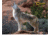Caldwell The Natural Series Shooting Target Kit - Coyote w/Replacement Vitals &amp; Sight-ins 800345 