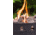 Camp Chef Compact Propane Fire Ring, Black, GCLOGM
