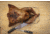 Camp Chef Infusion Roaster Turkey Cannon, Silver, TKYC