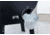 Camp Chef Pellet Grill &amp; Smoker DLX, Black, PG24