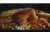 Camp Chef Smokepro DLX Pellet Grill, Bronze, PG24B