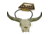Can Cooker Skullz Mirror Hanger Bull, White 1201405
