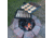 CanCooker GameMaker Gravity Grill Combo, One Size, GG1318