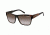 Carrera 42 Progressive Rx Sunglasses - Horn Brown Black Frame CA42S07J4ZU