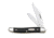 Case 22087 SS Brown Synthetic Medium Jack  Clip and Pen Blades Folding Knife, Jet-Black Synthetic Handle, 3 3/8 00220