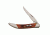Case 610096 SS Autumn Bone Small Texas Toothpick Folding Knife,3in closed 51383
