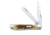 Case 6207 SS Amber Mini Trapper  Clip and Spey BladesFolding Knife, Amber Bone SS Handle, 3.5 00013