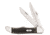 Case Black Canvas Laminate - Folding Hunter Blade, 10265 SS w/Leather Sheath, 23131