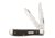 Case Black Canvas Laminate - Mini Trapper Blade, 10207 SS, 23136