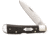 Case Black Canvas Laminate - Tribal Lock Blade, TB1012010L SS, 23133