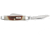 Case Red Stag Small Stockman R5333 SS 9449