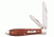 Case Smooth Chestnut Bone Tear Drop Folding Blade, TB62028 SS, 28905