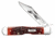 Case Cheetah Folding Knive, Chrome Vanadium Steel Embellished locking Clip Blade, Chestnut Bone Handle, 4.375in Closed, 07019