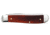 Case Mini Trapper Folding Knife Disciple, 3.5 in, Tru-Sharp Surgical Steel, Embellished Smooth Chestnut Bone Handle, 60868