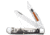 Case Trapper Sportsman Folding Knife, 3.24in/3.27in, Tru-Sharp Surgical Steel, Clip Point/Spey Blade, Bird Dog Hunter Embellished Natural Bone Handle, 81224