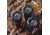 Casio G-Shock Mudmaster Triple-Sensor Solar Watch - Mens, Black, GWG-B1000-1ACR