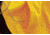 Caterpillar Logo Panel Hooded Sweatshirt, Yellow, Large 1910802-555-L