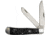Cattleman'S Cutlery Signature Trapper Folding Knife, Satin 3Cr13 SS Clip/ Spey Blades, Black Jigged Delrin Handle, SS Bolster, Inlay Shield, CC0002JBD