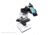 Celestron Basic Smartphone Adapter, Black, 81035
