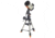 Celestron CGEM DX 11000 Computerized Telescope 11000