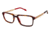 Champion 2026 Eyeglass Frames - Frame TORTOISE/GOLD, Size 54/17mm CU202601