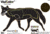Champion Traps and Targets VisiColor Coyote High-Visibility Paper Targets - 45821