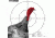 Champion Traps and Targets Turkey Patterning Target (3pk)