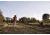 Champion Traps and Targets EasyBird Traps, Easybird Auto-feed 6-packer
