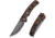 CIVIVI Noctis Folding Knife, 2.98in, Damascus Steel, Straight Back Blade, Guibourtia Wood Handle, C24020C-DS1