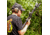 Cloud Defensive 3.0 High Output REIN Micro light, 95,000 Candela, Duel-Fuel, Inline MLOK mount, Black, CD2311-C-BLK