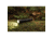 Coast XP18R Flashlight
