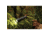 Coast XP9R Flashlight