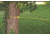 Coleman Rope Clothesline W/ Plastic Hook End, 2 Plastic Slides, Yellow, 25 Ft 2000014873